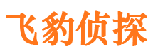 贡井侦探公司